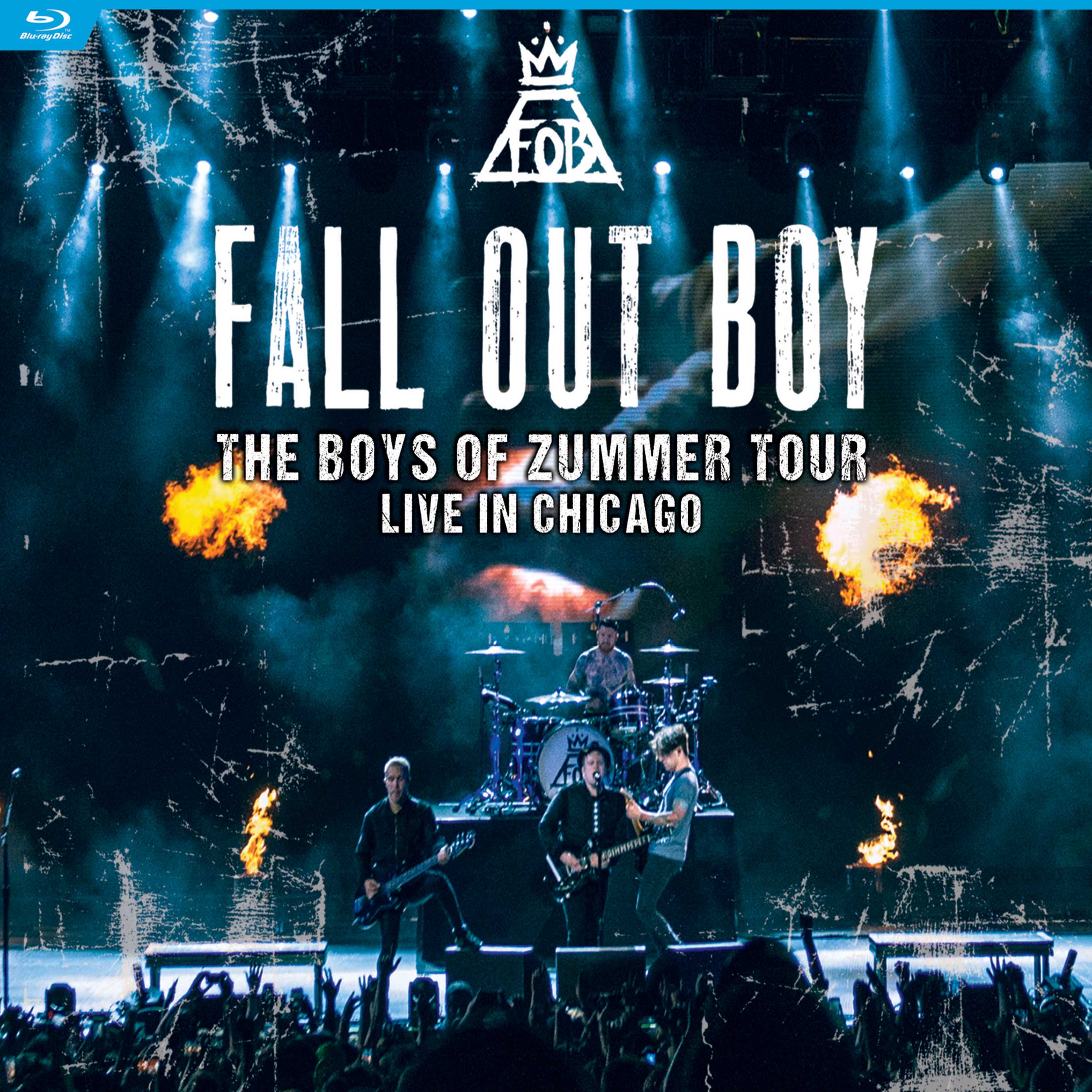 Fall Out Boy - Fall Out Boy-The Boys Of Zummer Tour: Live In