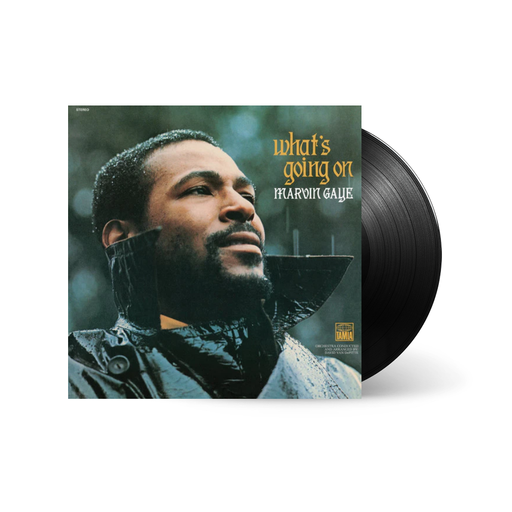 Marvin Gaye - Marvin Gaye - What's Going On (10