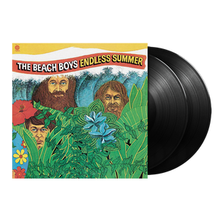 The Beach Boys - Endless Summer 2LP