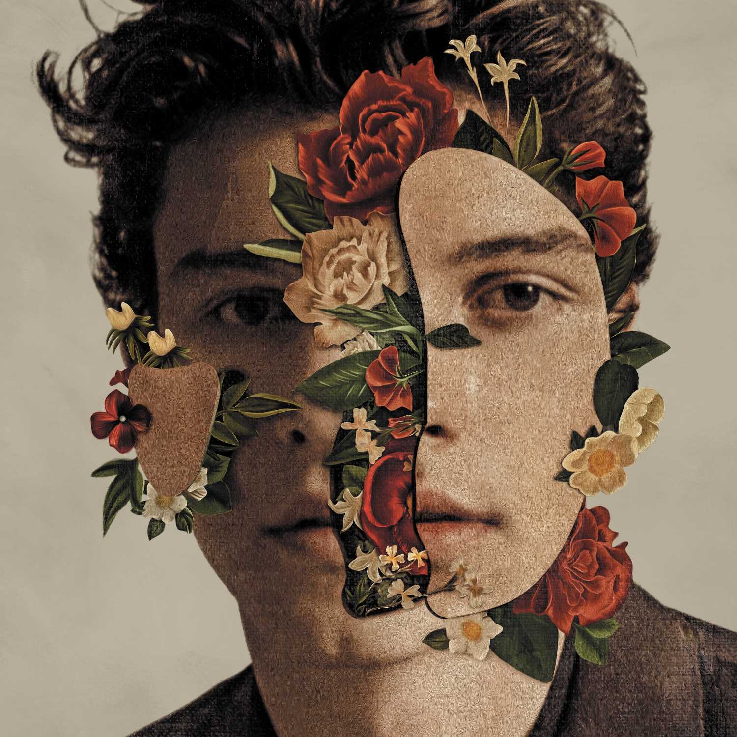 Shawn Mendes