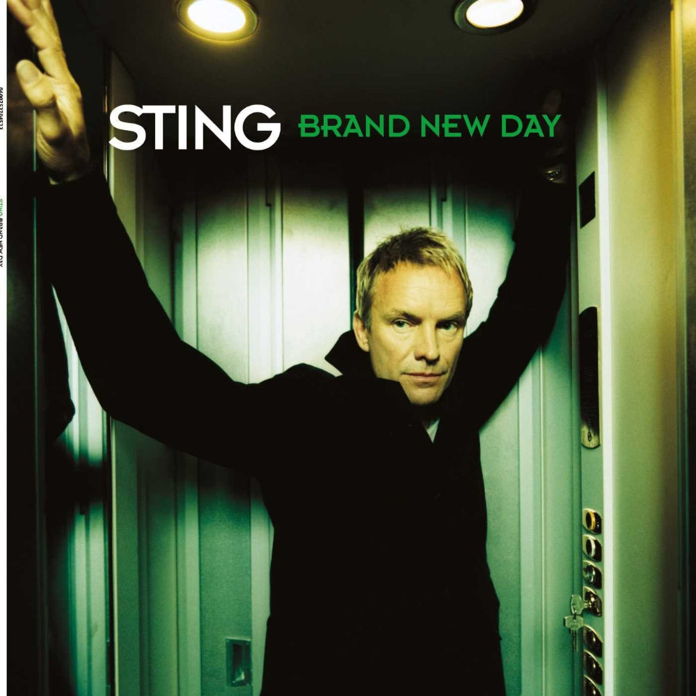 Brand New Day [2 LP]