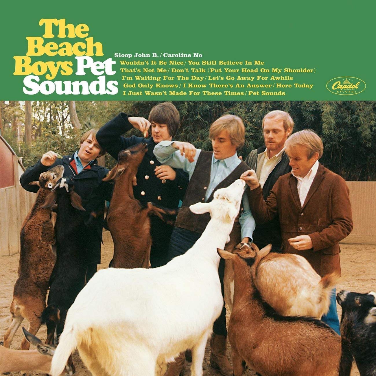 Classic Albums: Pet Sounds [DVD]
