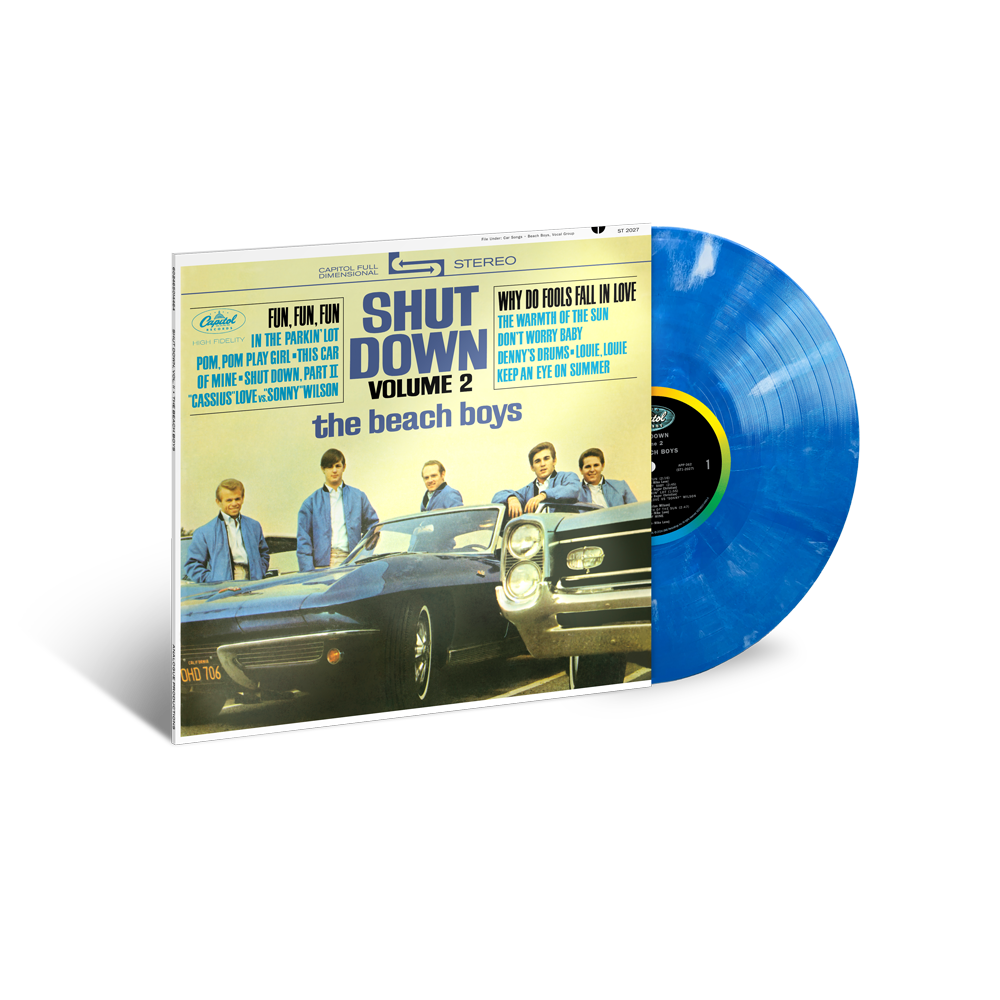 Shut Down Vol. 2 Blue & White Marble Vinyl (Limited Edition) LP