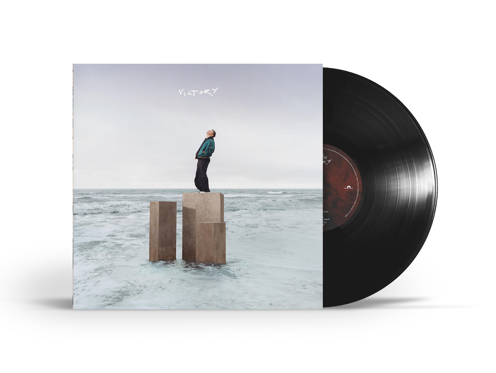 Victory [LP]