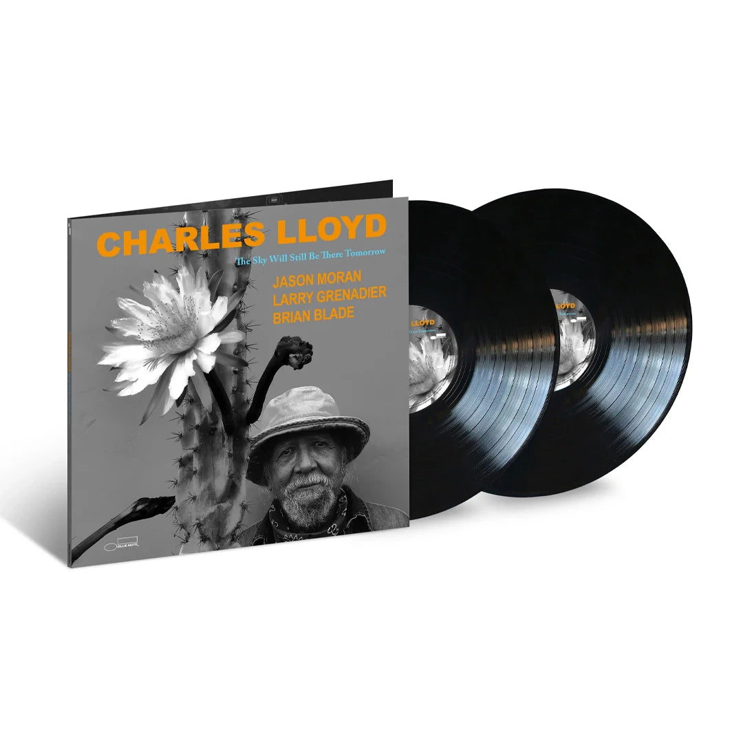 The Sky Will Still Be There Tomorrow [2 LP]