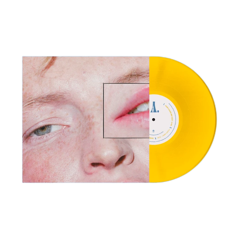 Dandelion (Yellow) 1LP