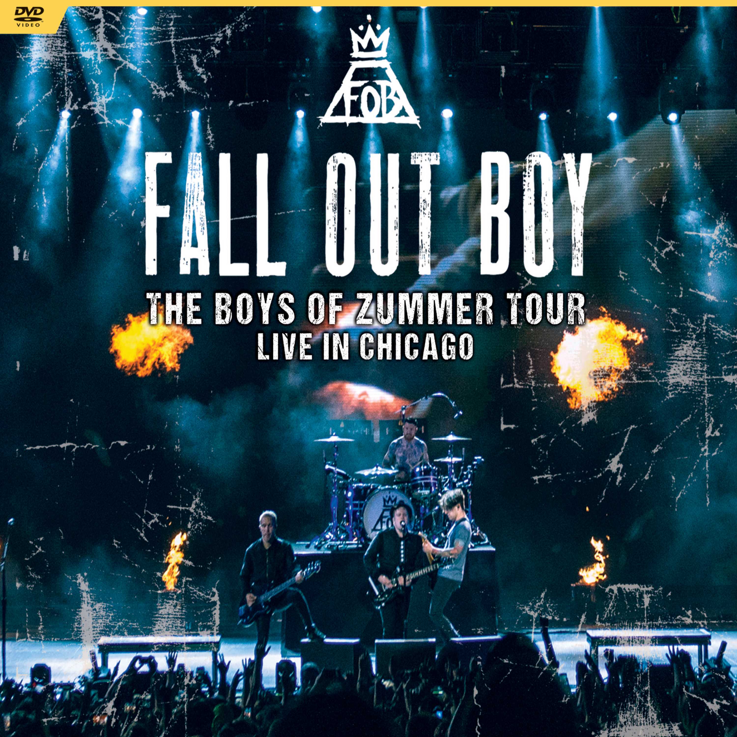 The Boys Of Zummer Tour: Live In Chicago [Blu-ray]