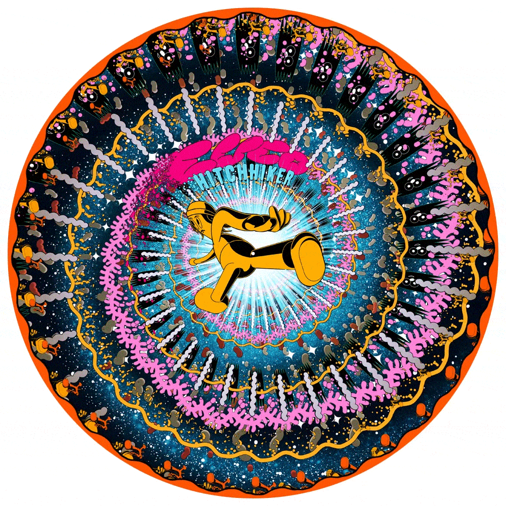 Hitchhiker (Zoetrope Picture Disc)-6