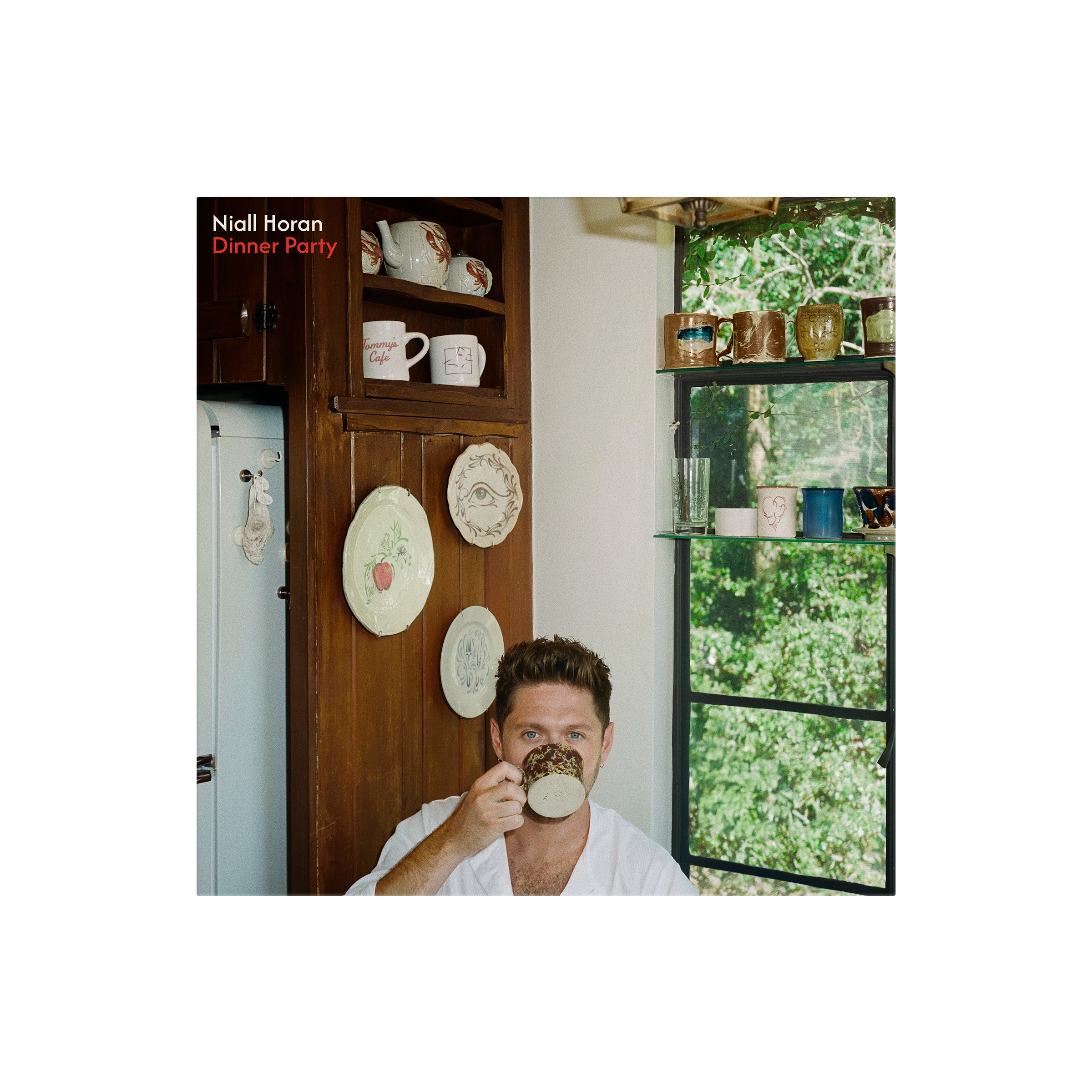 Dinner Party - Porcelain Vinyl Cover