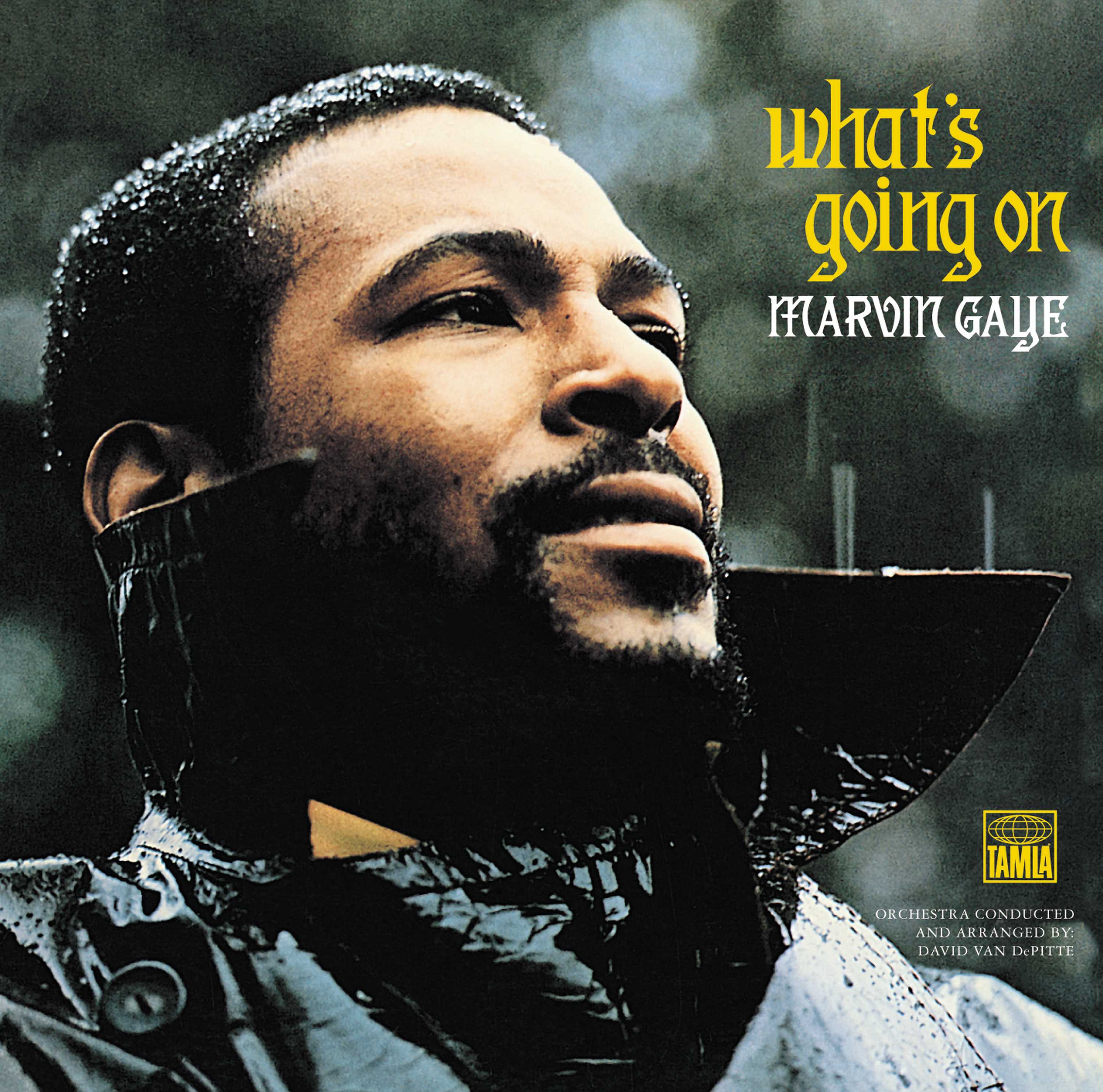 What's Going On [LP]