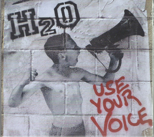 Use Your Voice