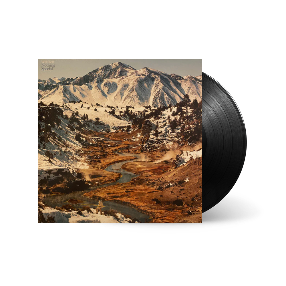 Nothing Special 1LP