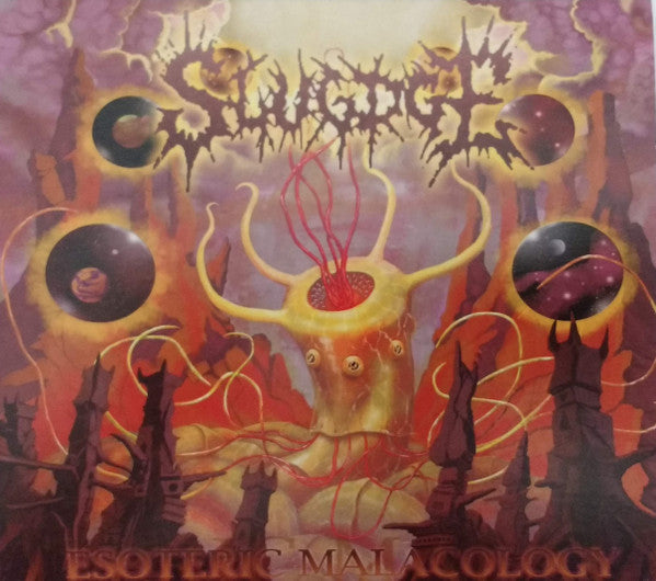Esoteric Malacology