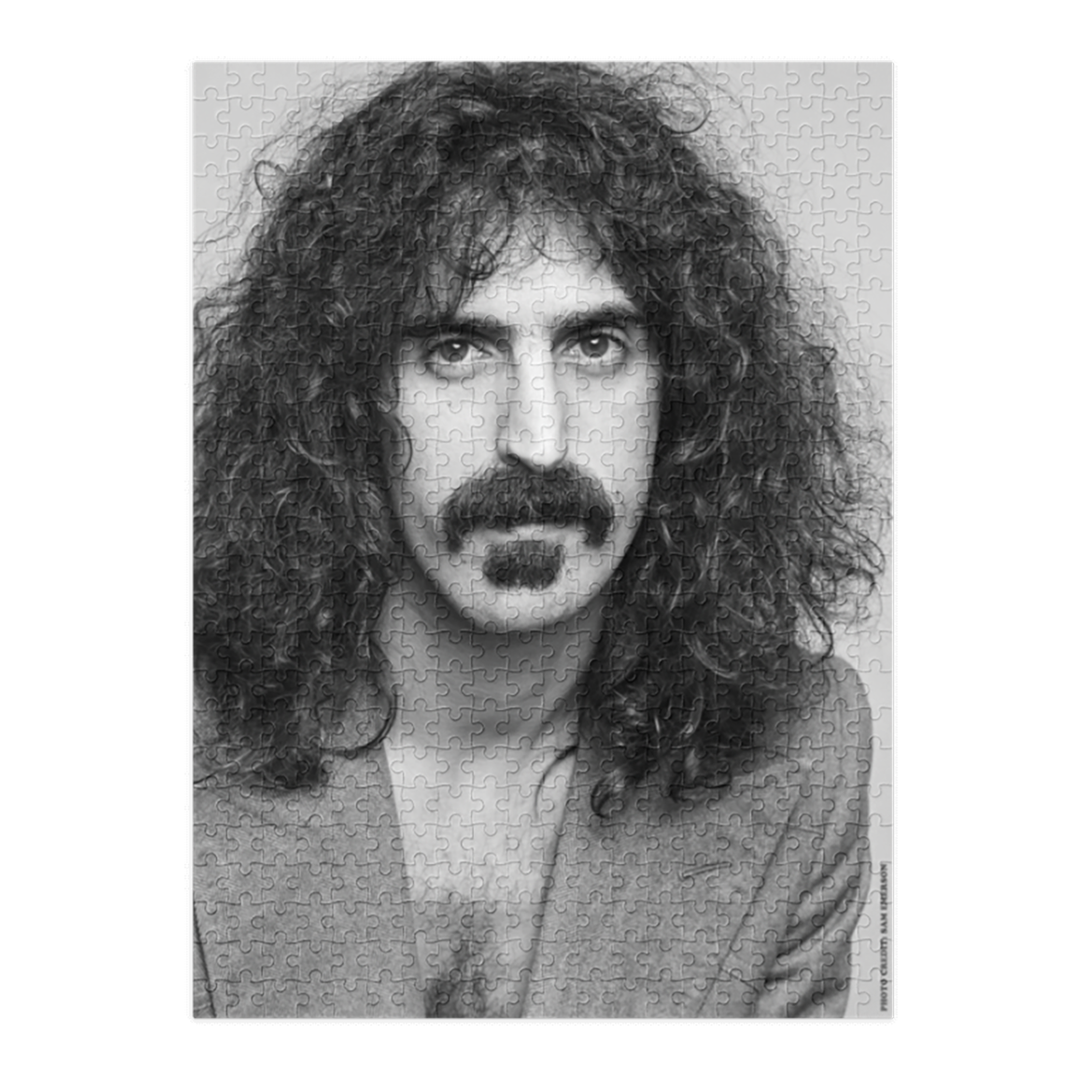 Zappa Puzzle Completed