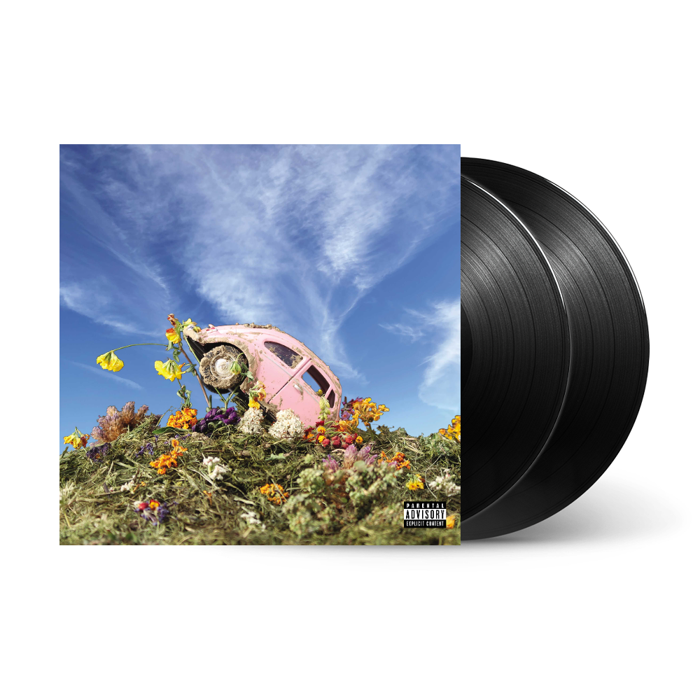 The Rise & Fall of Loverboy 2LP
