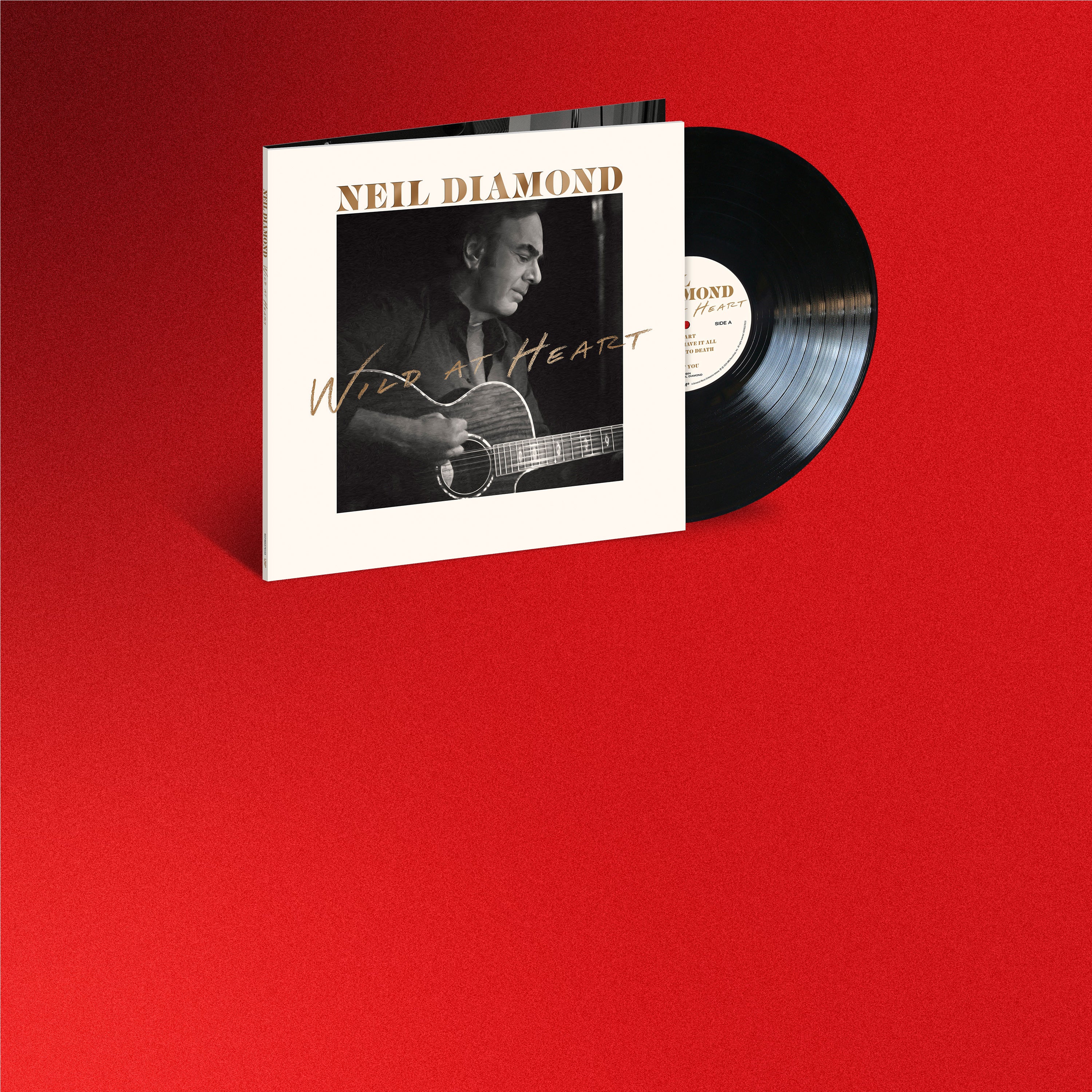 Brian Eno - Brian Eno - Ambient 1: Music For Airports LP