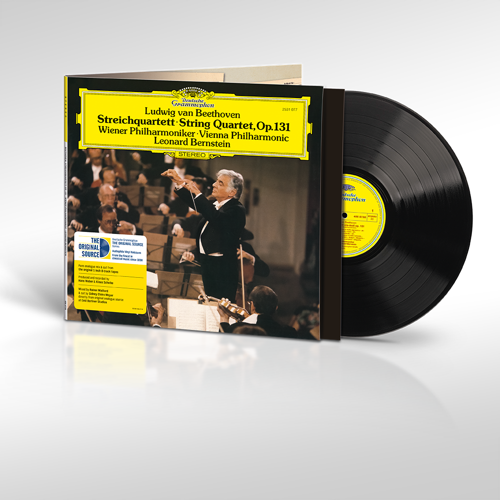 Wiener Philharmonic / L.Bernstein LP