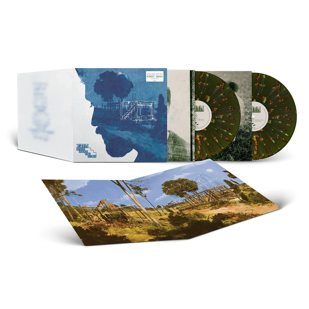 ROOM UNDER THE STAIRS [Forest Green/Neon Splatter 2 LP]
