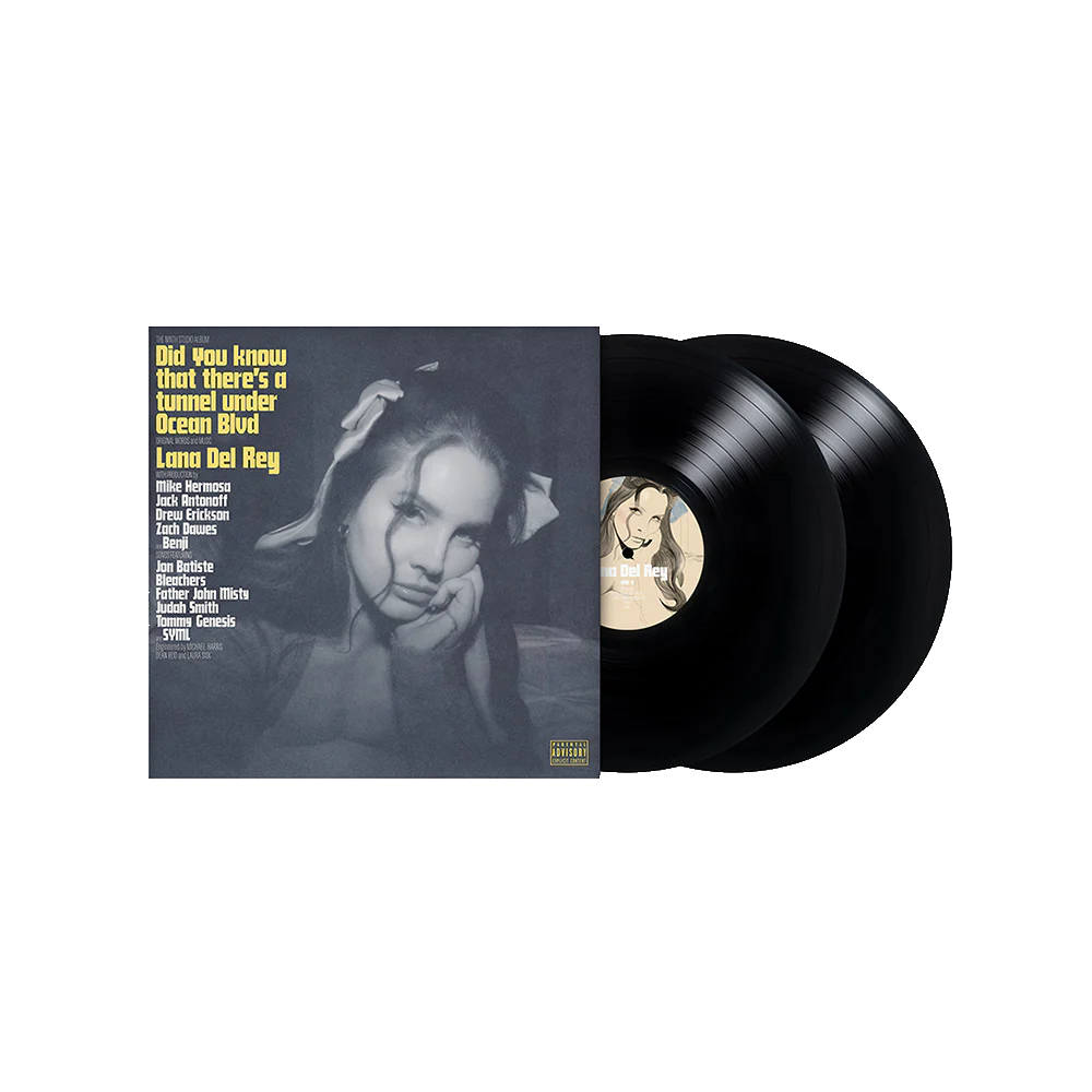 Did you know that there's a tunnel under Ocean Blvd 2LP