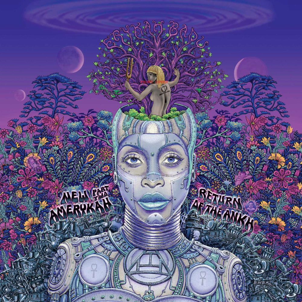 Erykah Badu Vinyl, CDs, & Box Sets - uDiscover Music Erykah Badu Vinyl, CDs, & Box Sets - uDiscover Music