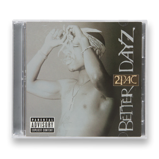 Better Dayz CD
