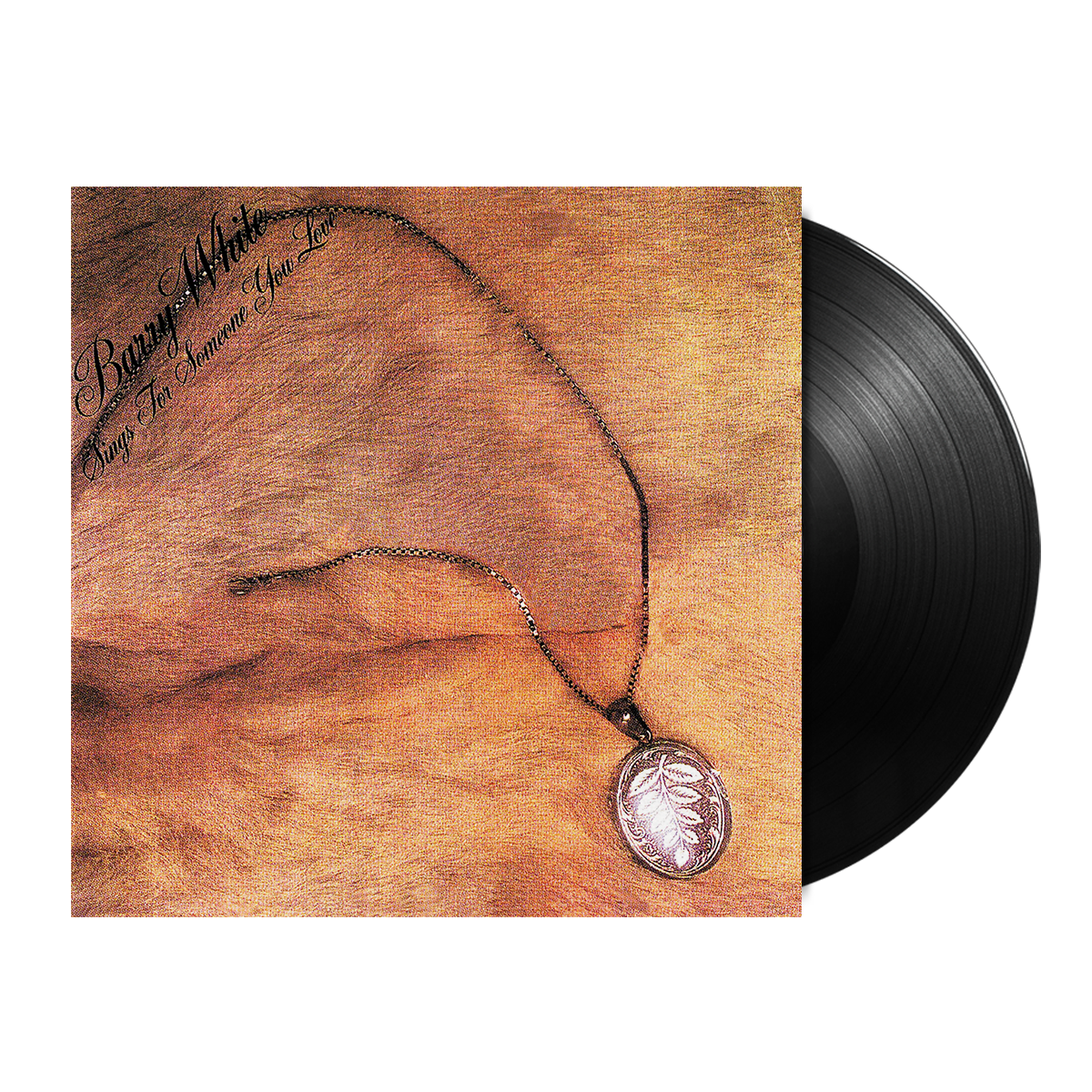 BARRY WHITE 9レコードコレクション+1 Barry White - Number 1's BARRY WHITE 9レコードコレクション+1 Barry White - Number 1's