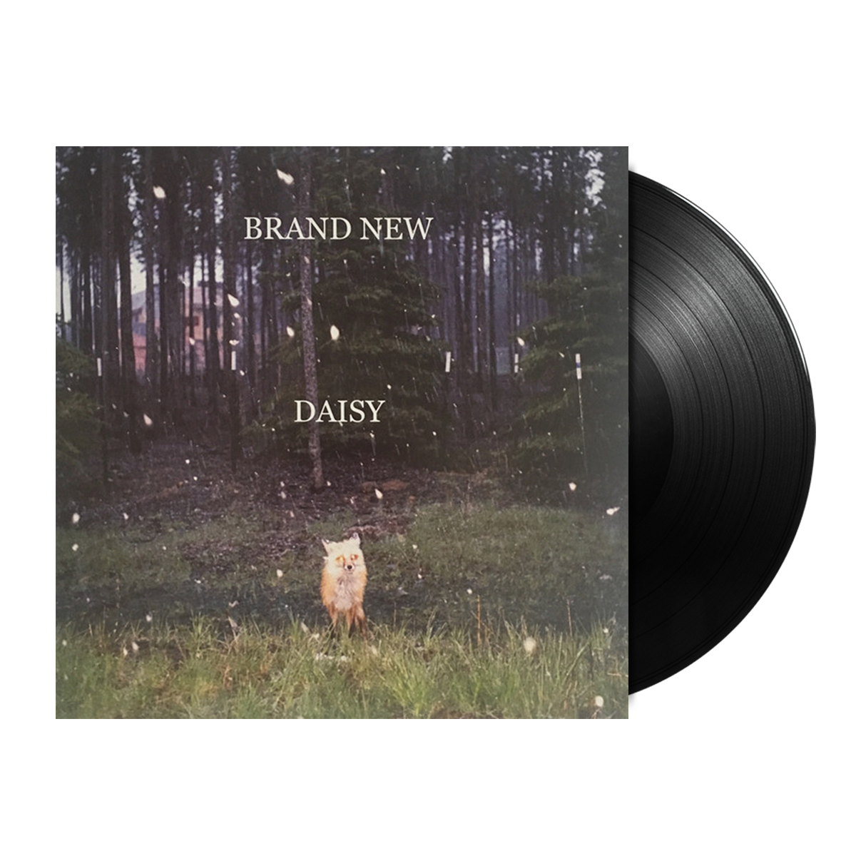 https://shop.udiscovermusic.com/cdn/shop/products/Brand-New-Daisy-1LP.png?v=1613495998