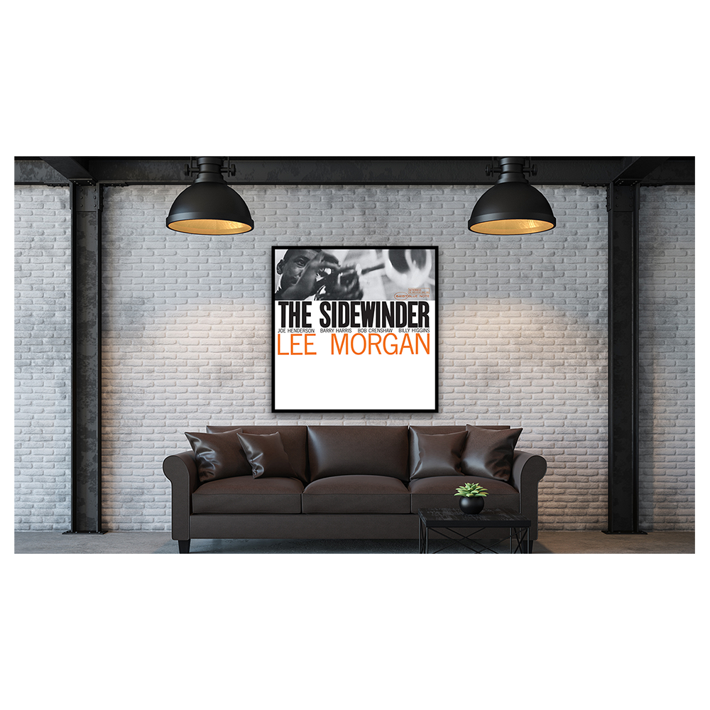 The Sidewinder Framed Canvas Art