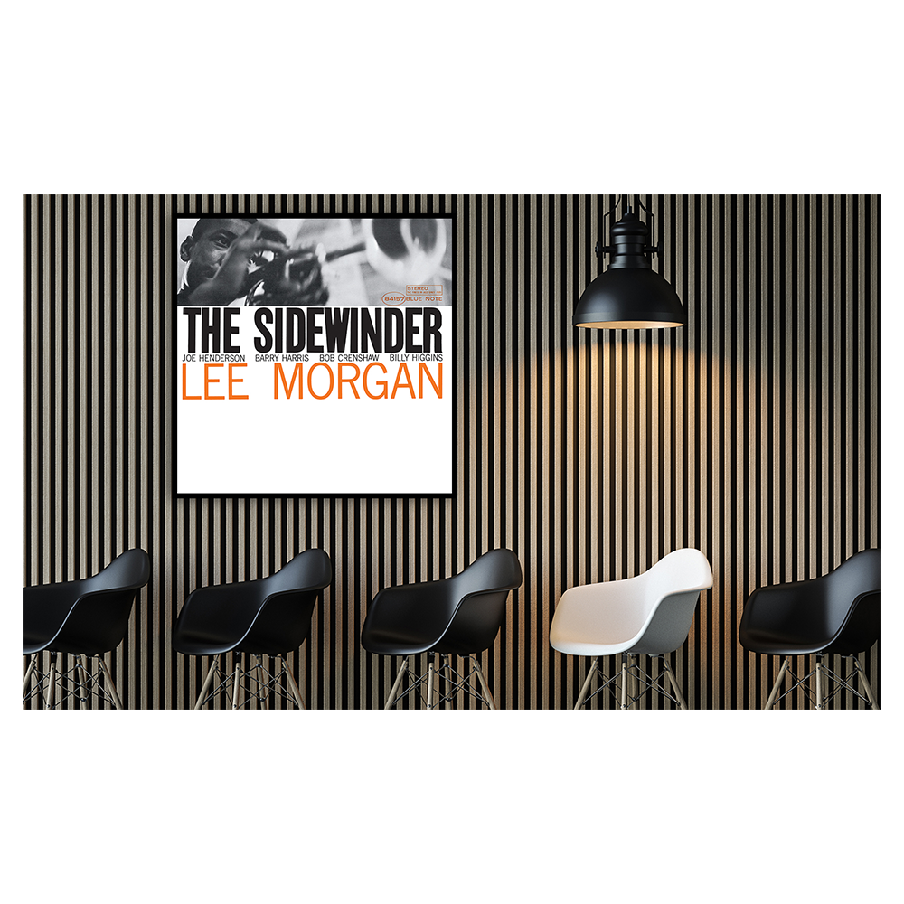 The Sidewinder Framed Canvas Art