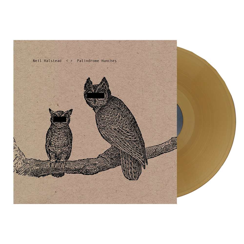 Neil Halstead - Palindrome Hunches LP