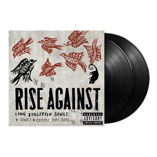 Rise Against - Long Forgotten Songs: B-Sides & Covers 2000-2013 2LP