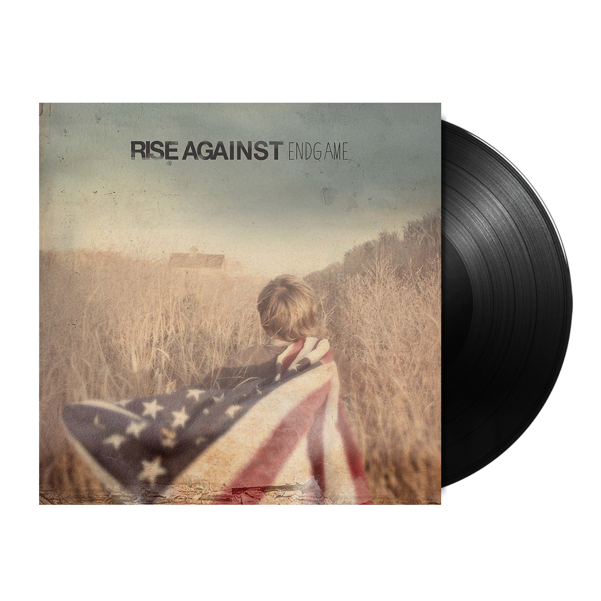 Rise Against - Endgame LP