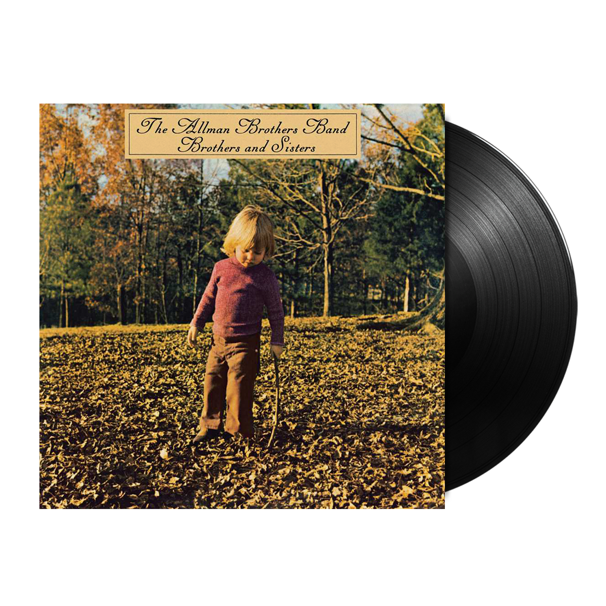 The Allman Brothers Band - Brothers And Sisters LP