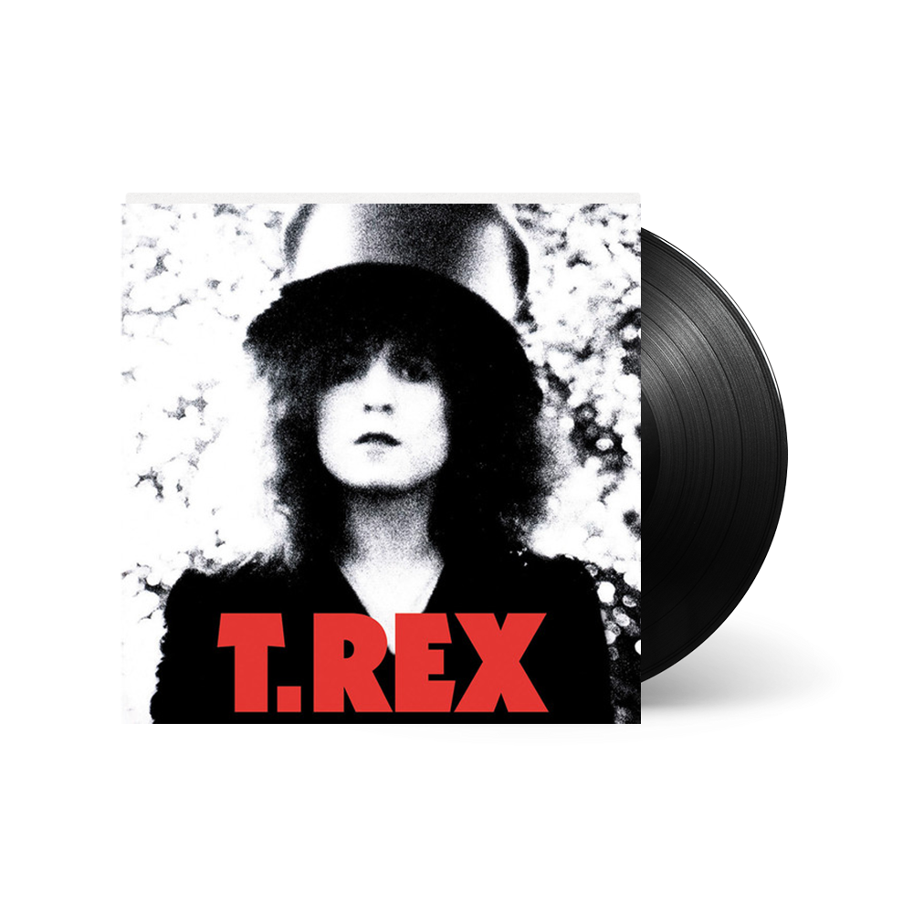 T.REX THE SLIDER ティーレックス ザ・スライダー LPレコード - レコード